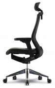 advanta-q70-leather-executive-with-headrest-adjustable-arms-polished-al-base-side-view